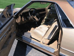 El Camino open drivers door